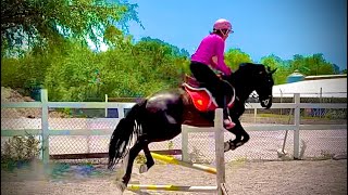 CLASES DE EQUITACION centroecuestrequotelparaisoquot parientesdelrancho [upl. by Stephani510]