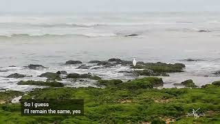 Sittin On the dock of the bay  Otis Redding lyrics and ocean view [upl. by Ahtebbat]