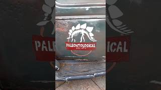 Sociedad Paleontológica  Parque Buin Zoo  18 10 2024 🦖 [upl. by Artinak]