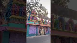 Vinayaka Temple ytshorts trending temple vinayaka ganesha spirituality vlogs dailyvlogs [upl. by Hairacaz342]