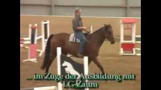 LGZaum Glücksrad gebisslos reiten Quarter Horse [upl. by Sathrum91]