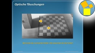 Könnt ihr euren Augen trauen  optische Täuschungen [upl. by Scheers]