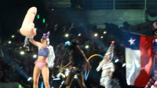 Party In The USA  Miley Cyrus 10012014  Santiago Chile [upl. by Kolb]