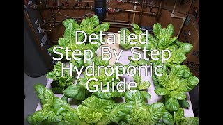 Growing Hydroponic Romaine Lettuce  Hydroponic Journey Part 1 [upl. by Chema342]