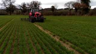 Hoeing Organic Winter Oats with Massey ferguson 6480 and Garford inter row hoe [upl. by Sabsay187]