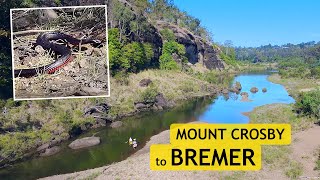 Mount Crosby to Bremer Junction [upl. by Gaelan812]