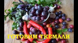 Как приготовить ткемали весело и вкусно [upl. by Sirehc930]