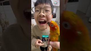 The Most Interesting Tooth Extraction Method with the Help of a Parrot 🦜 [upl. by Barri]