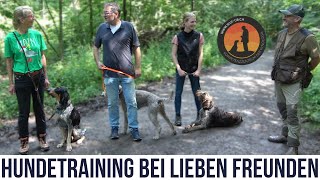 Gehorsam  Leinenführigkeit  Apportieren  Hundeschule UB [upl. by Sawtelle917]