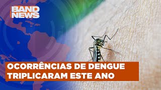 Epidemia de dengue nas Américas é a pior da história  BandNews TV [upl. by Hahcim913]