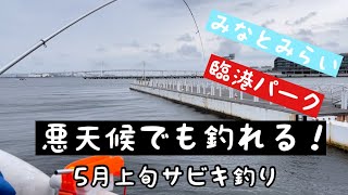 【横浜みなとみらい臨港パーク】悪天候でも釣れる！トリックサビキ釣り！5月上旬 [upl. by Mechelle]