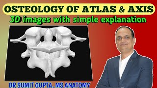 ATLAS amp AXIS VERTEBRAE  Osteology  atypical cervical vertebrae [upl. by Bertha]