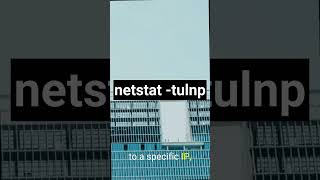 netstat tulnp [upl. by Leler276]