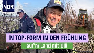 Ollis perfekter Obstbaumschnitt in der Apfelplantage  Folge 10  NDR aufm Land mit Olli [upl. by Arnaldo]