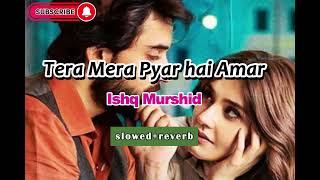 Tera Mera Hai Pyar Amar Full Song Ishq Murshid Slowed and Reverb  Bilal Abbas Khan  Durefishan [upl. by Delia]