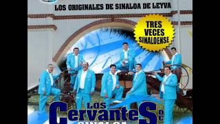 los cervantes de sinaloa de leyva 2012reproches al vientowmv [upl. by Elson438]