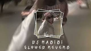 DJ HABIBI VIRAL TIK TOK Slowed reverb [upl. by Fredie874]