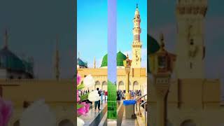 ho karam Sarkar ab to zindagii ke beshumar New Naat 2024ytshorts shortfeed trending newnaat [upl. by Yorker980]