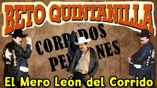 Beto Quintanilla El Mero Leon Del Corrido  Corrridos Perrones [upl. by Htebazile]