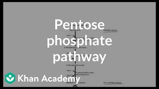 Pentose phosphate pathway  Cyclic structures and anomers  Biomolecules  MCAT  Khan Academy [upl. by Zaremski]