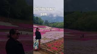 chichibu flower park Japan music cover travel japanvibes anime flowers [upl. by Watkin]