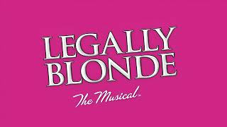 Legally Blonde Ireland Backing Track [upl. by Enelloc]