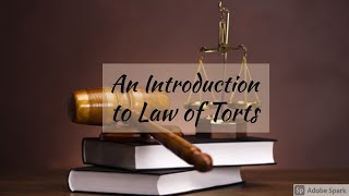 An Introduction to Law of Torts  Law of Torts  Easy way  in Hindi [upl. by Ahseital]