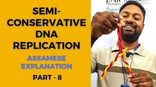 Semi Conservative DNA Replication  Assamese Explanation  Conservative and Dispersive model Part8 [upl. by Marice]