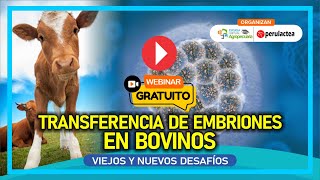 Clase Gratuita Transferencia de Embriones en Bovinos [upl. by Bledsoe843]