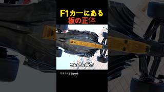 F1カーにある板の正体 [upl. by Hayidan]