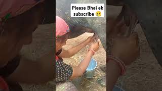 Village life 😊 villagelife rajasthani culture vlog trendingshorts viralshorts trending [upl. by Chappie621]