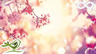 9 Hours of Relaxing Sleep Music • Soft Piano Music Fall Asleep Fast 98 [upl. by Nnael165]