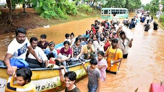 Odisha cyclone Dana 2024 🙏😭please help animals 🙏 [upl. by Eilagam]