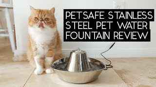 PETSAFE SEASIDE STAINLESS STEEL PET WATER FOUNTAIN REVIEW  SVEN AND ROBBIE [upl. by Yelsehc471]