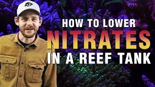 How to Lower Nitrates in a Saltwater Aquarium Proven Techniques For Success [upl. by Akirat705]