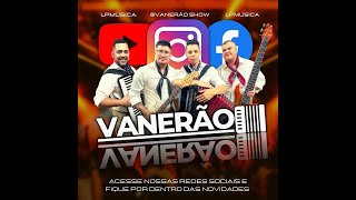 Baile ao vivo  1 hora de vaneira  Grupo Vanerão [upl. by Ydoc]