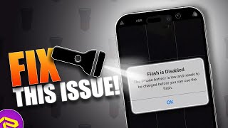 How to Fix Flash is Disabled  The iPhone Flash Not Working [upl. by Horwath612]