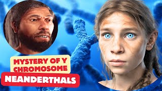 The Mysterious Disappearance of Neanderthal Y Chromosome [upl. by Aiz]