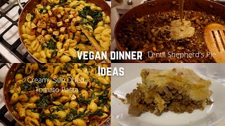 VEGAN DINNER IDEAS 01  Lentil Shepherds Pie  Creamy Sun Dried Tomato Pasta [upl. by Leslie]