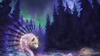 Meditation Video  Native sounds  Wolves [upl. by Hersch]