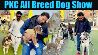 Dog Show  PKC all Breed Dog show 2022 Pakistan Karachi Asad Brohi vlog [upl. by Asseralc]