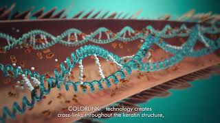 What is COLORLINK™ Technology [upl. by Eniamahs45]