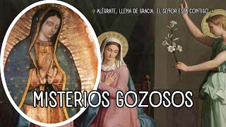 ❤️ Misterios Gozosos ✞ Alégrate Llena de Gracia el Señor Está Contigo ✝️ Santo Rosario [upl. by Rainer]