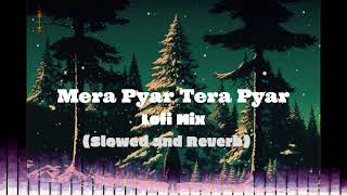 Mera Pyar Tera Pyar  Lofi Mix  Arijit Singh Song  Slowed and Reverb  Yash Lufi Club [upl. by Ecyal]