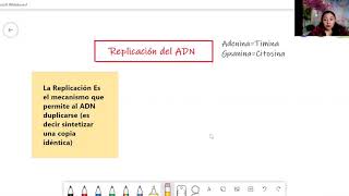 Replicación del ADN [upl. by Hendricks]