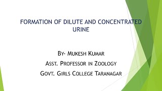 Formation of Dilute and Concentrated Urine BSc Part 2 [upl. by Analle162]