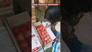 Full Paking Apples  Kashmir Valley 7001  Trending Song [upl. by Dis]