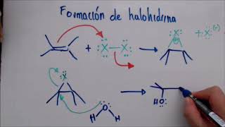 Mecanismo para la Formación de halohidrinas [upl. by Kcered]