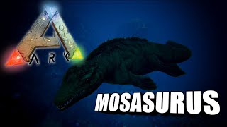 Taming A Mosasaurus  Ark Survival Evolved  The Island [upl. by Bromleigh966]