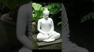 BUDDHA VANDANA  STORY SHORTS VIDEO [upl. by Einnov]